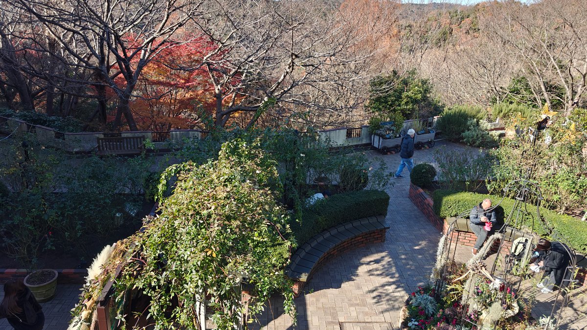 Terraced garden paths and visitors