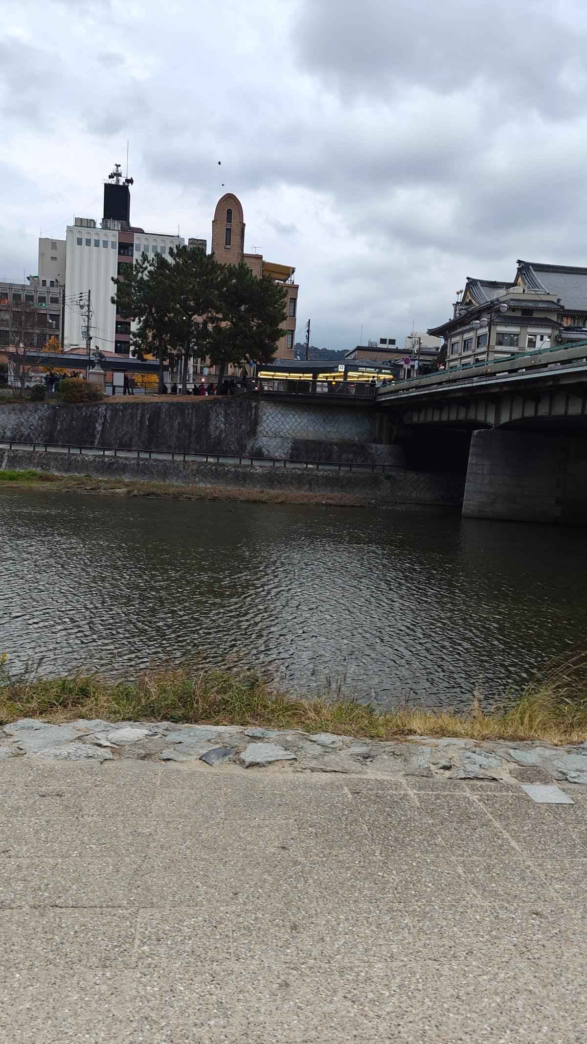 The river with a bridge and buildings