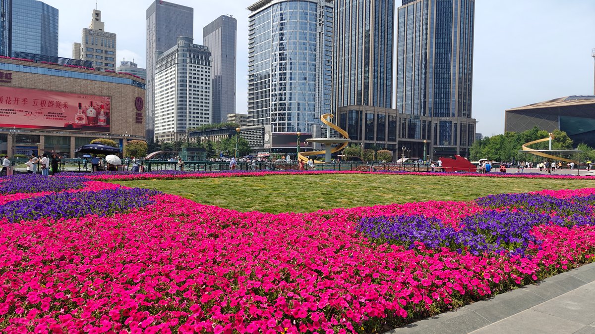 Tianfu Square spring flowers