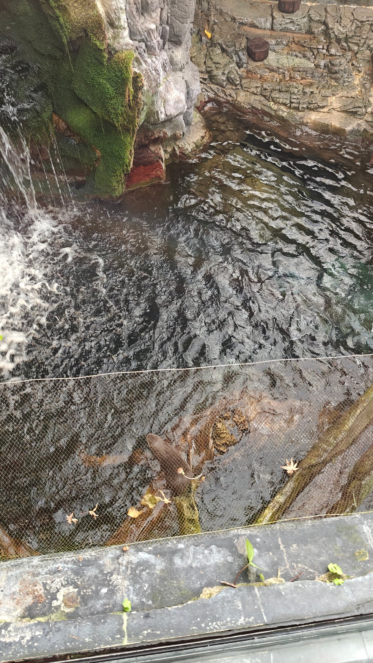 Touch pool with water and rocky edges