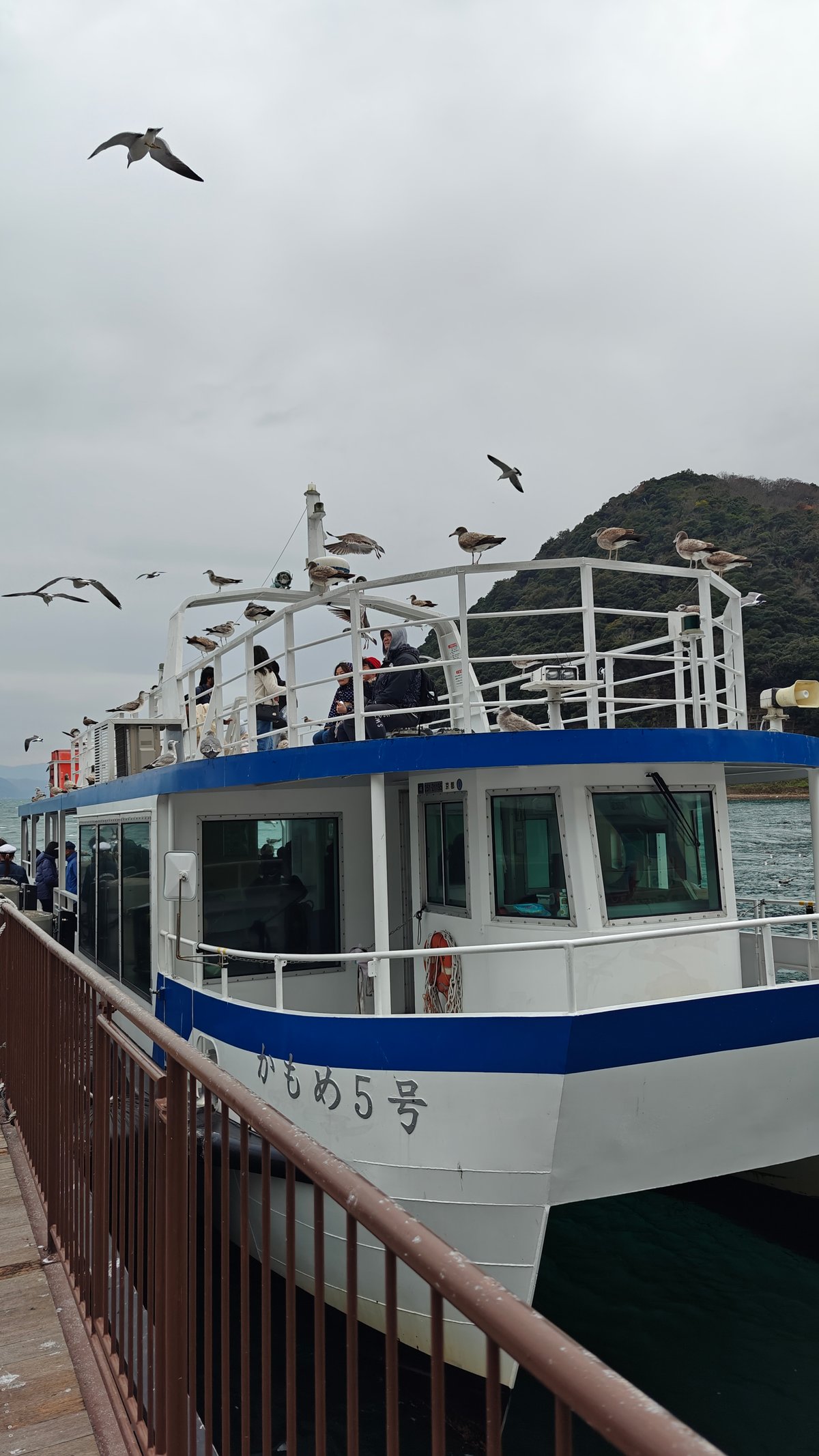 Tour boat 'Kamome No. 5' (かもめ5号) at the