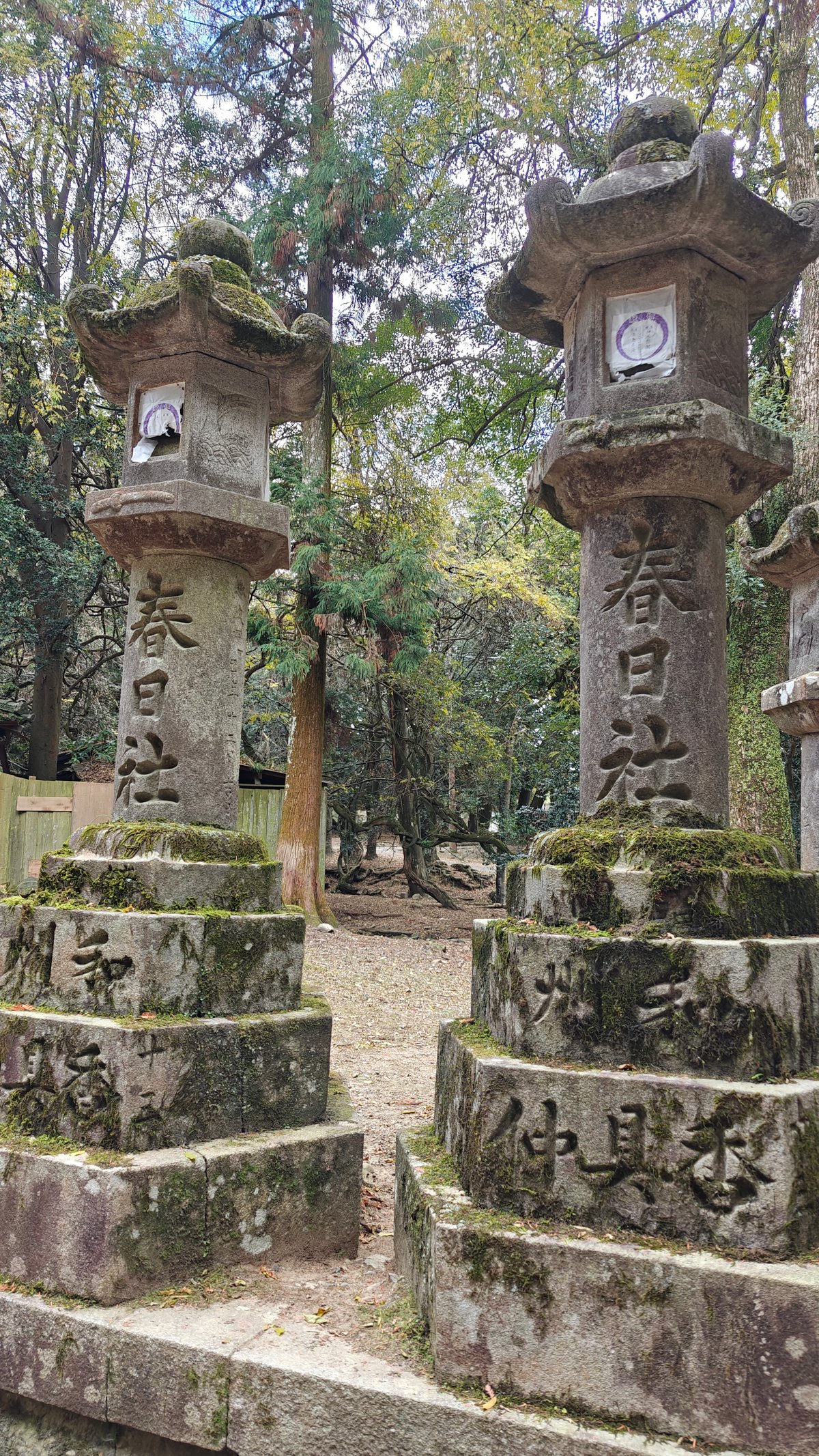 Traditional lantern and autumn maple tree near shrine
