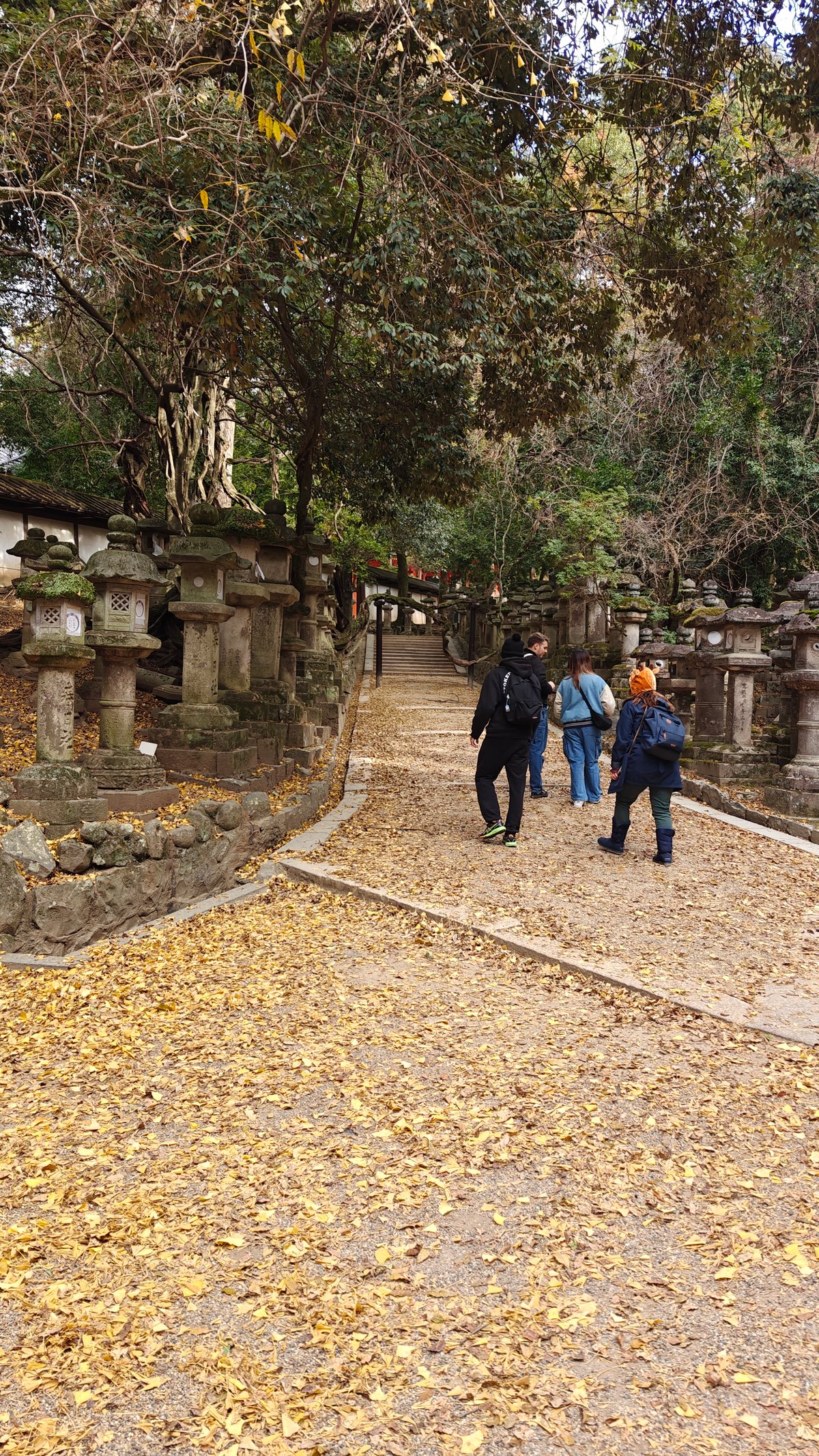 Vermilion corridor bronze lanterns