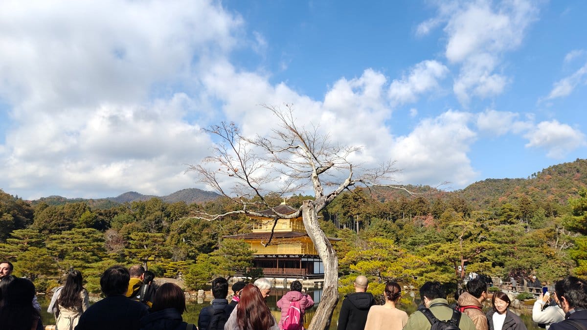 Visitors at the classic viewpoint