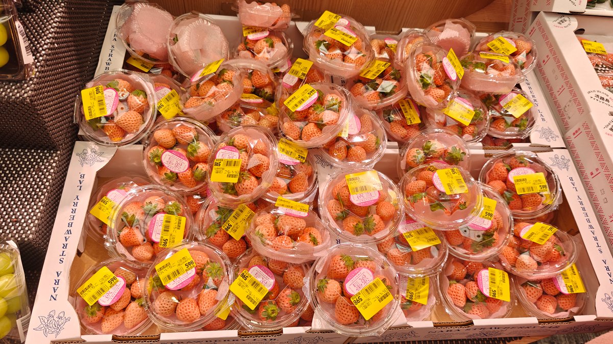 White/pink strawberries in clear containers — premium Japanese