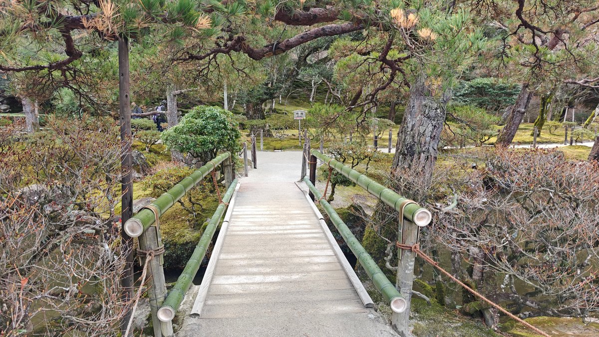 Wooden footbridge over garden stream