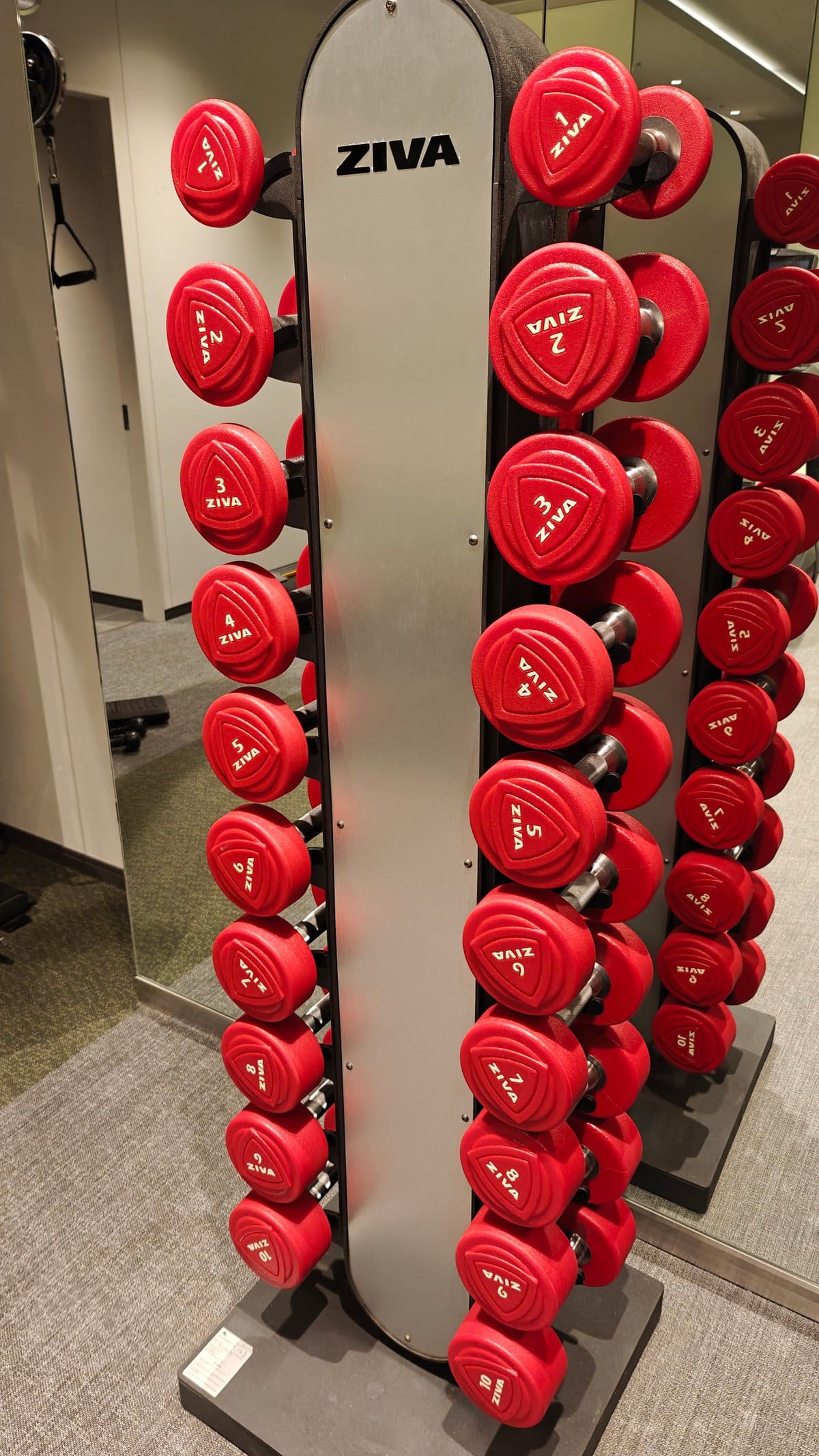 ZIVA brand dumbbell tower with red weights (dumbbell