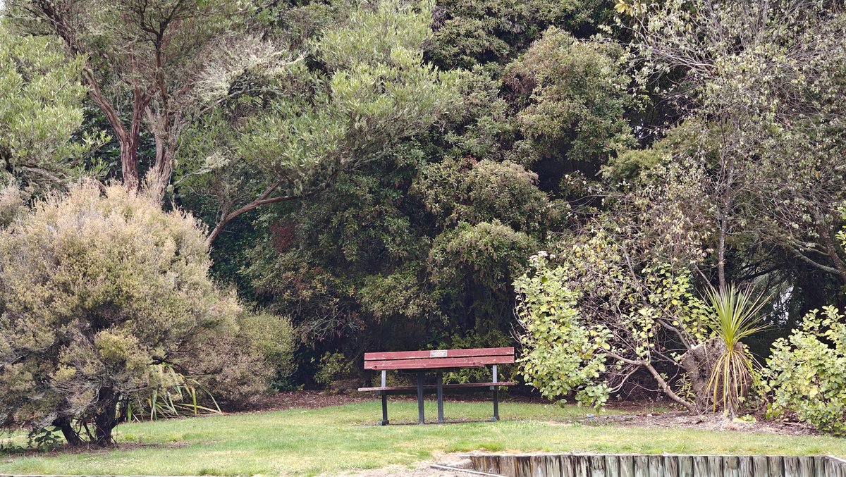 A bench beside a small pond in the