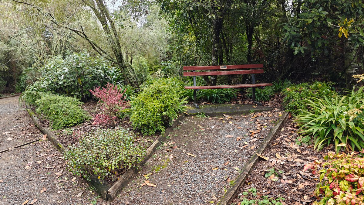 A bench in the garden with beds planted