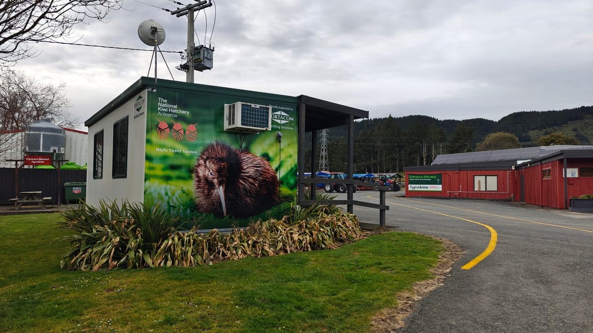 A building with a kiwi mural painted across