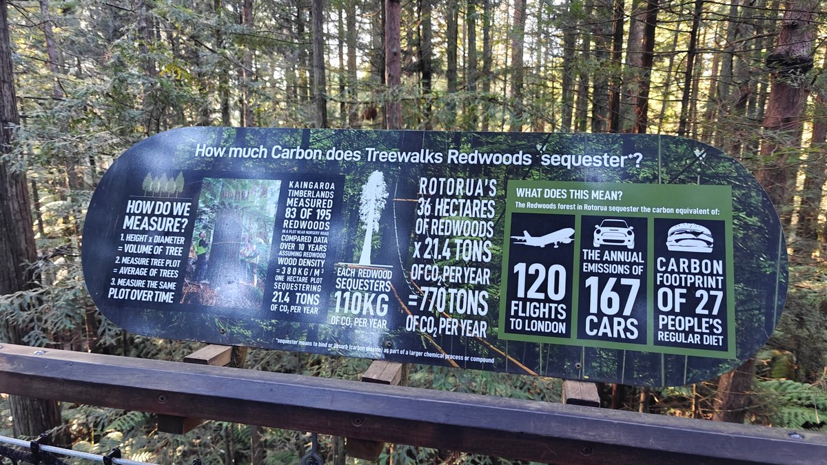 A carbon panel asking how much carbon the
