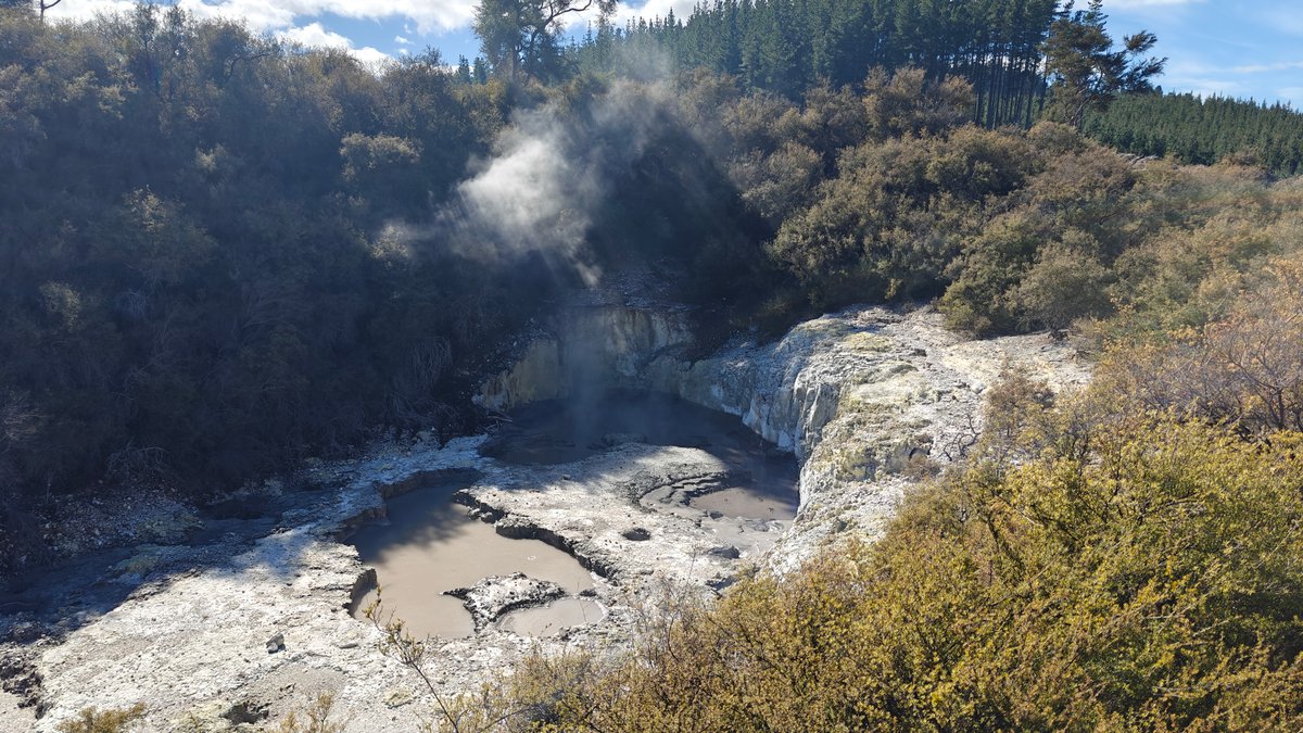 A crater with steam and the bush rising
