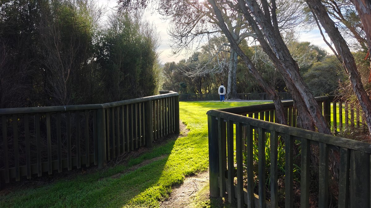 A fenced path running between the trees.