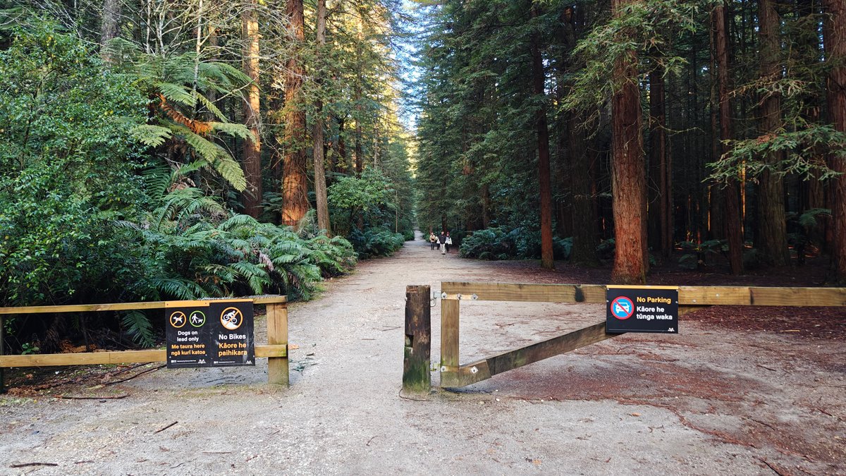 A forest track with a barrier gate and