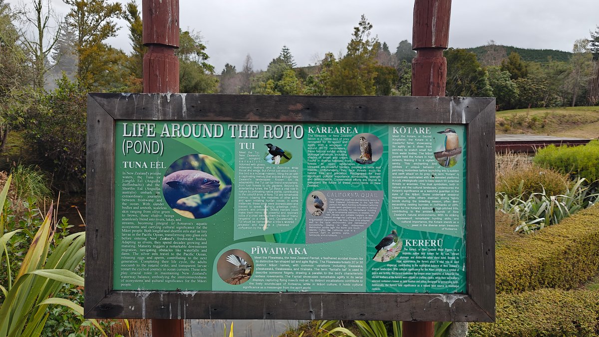 A green board headed LIFE AROUND THE ROTO