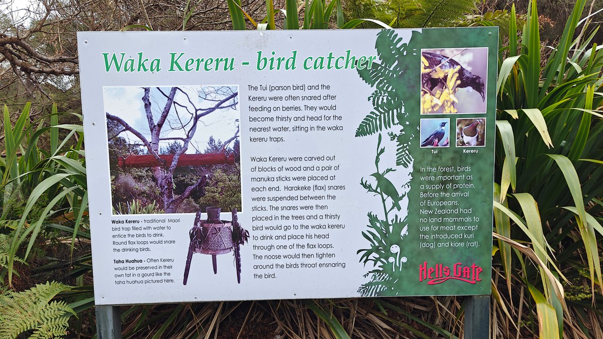 A green interpretive board headed Waka Kereru -