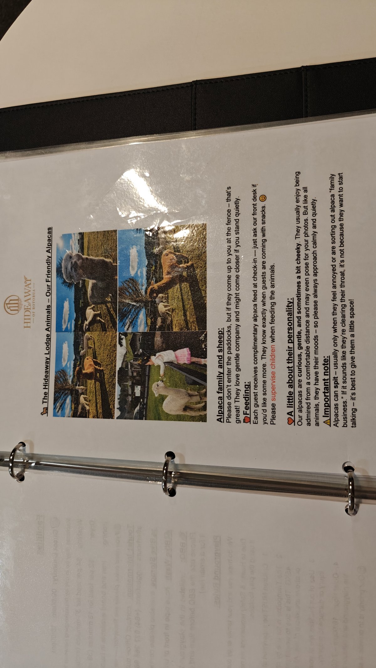 A laminated sheet with photographs about local attractions.