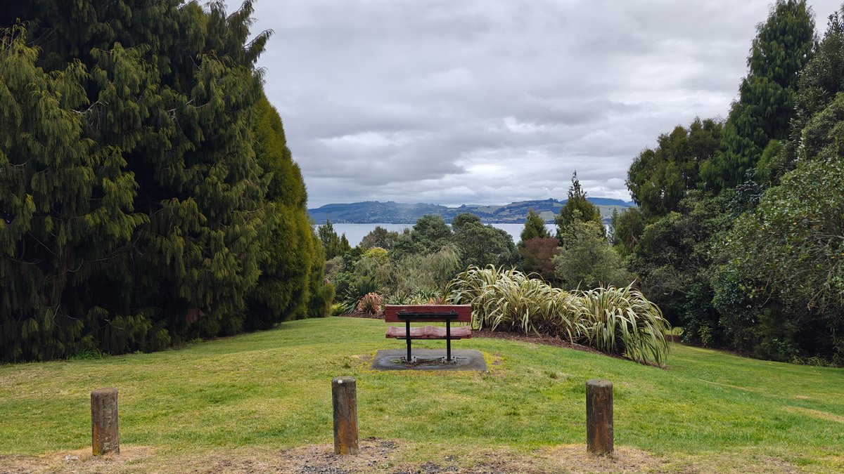A lawn with a picnic table and the