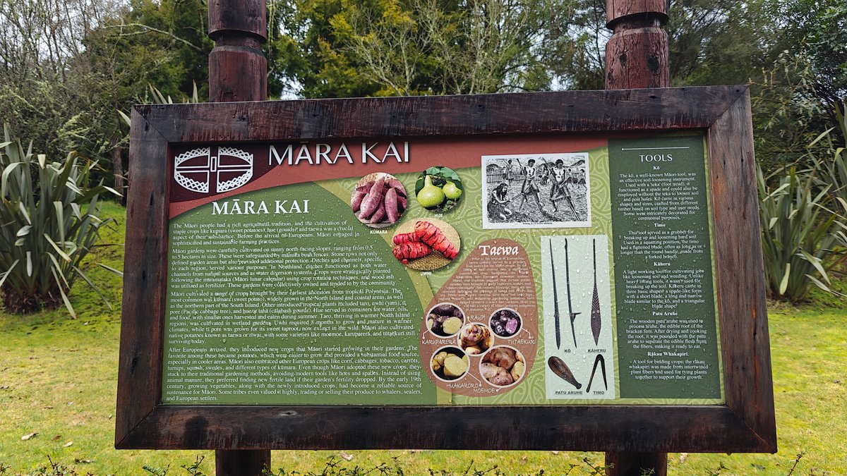 A MARA KAI board with illustrations of food