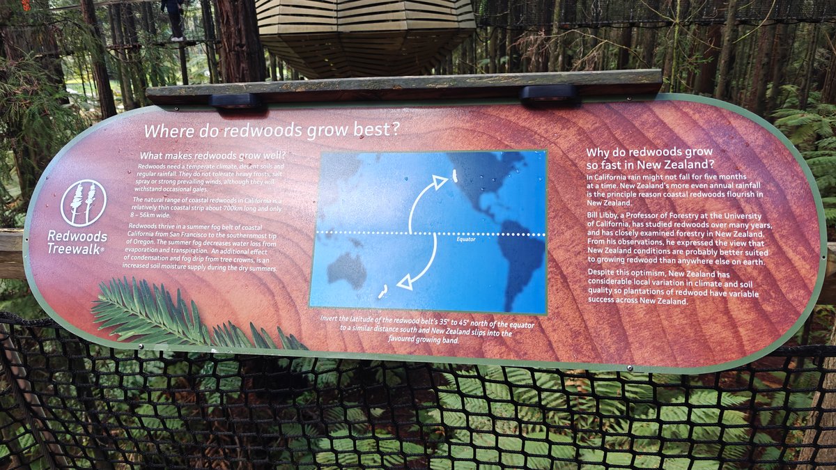 A panel asking where redwoods grow best, with