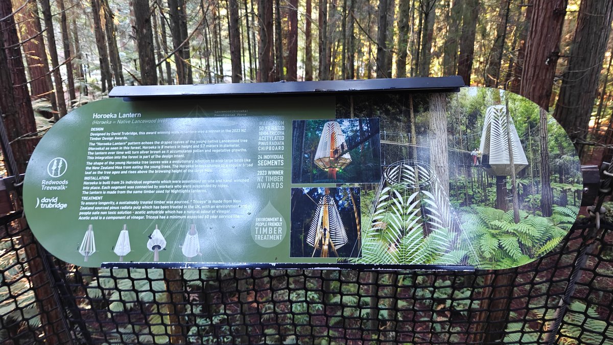 A panel explaining the design of the Nightlights