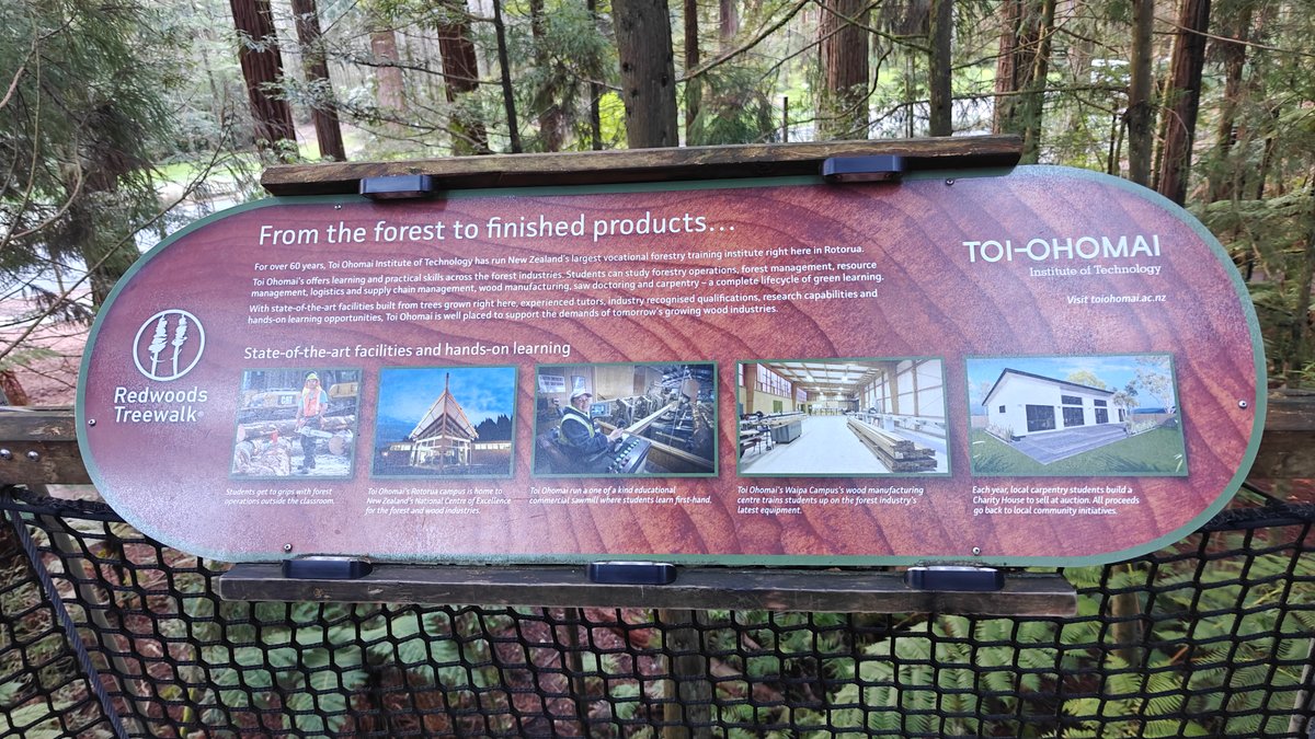 A panel headed From the forest to finished