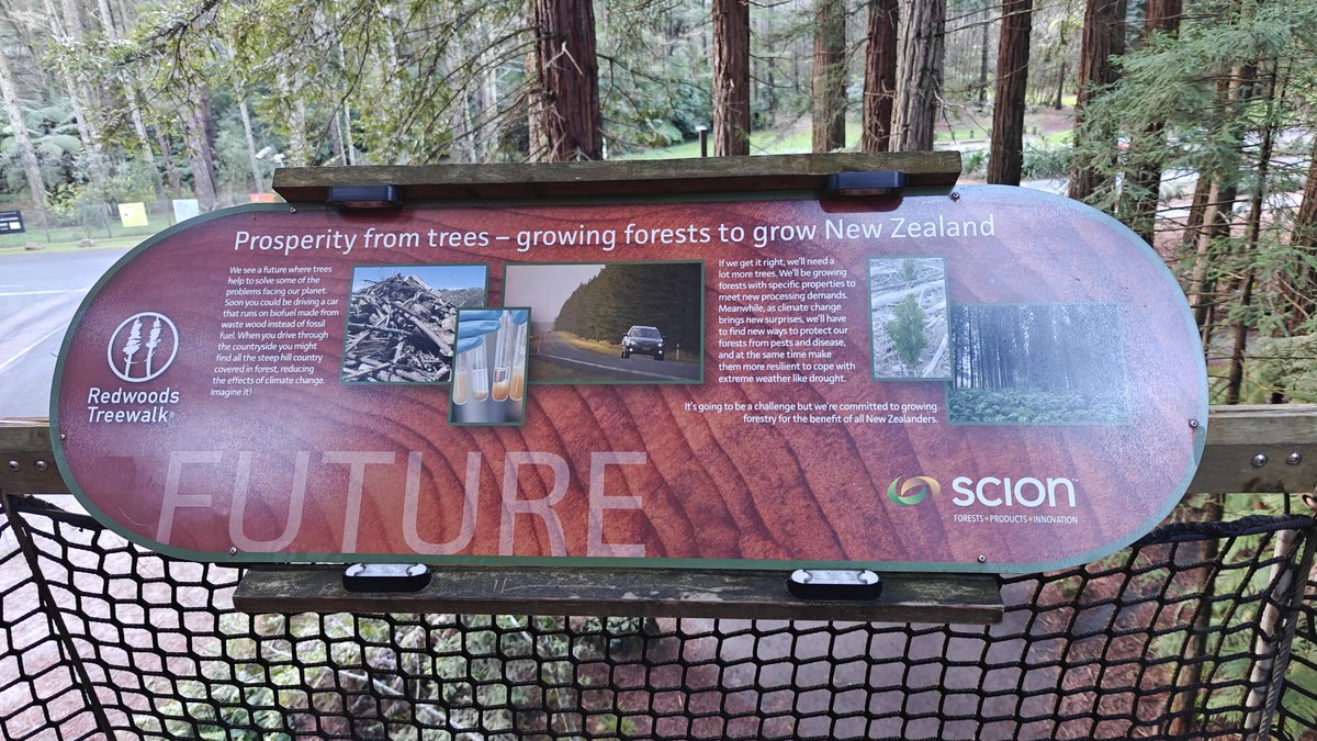 A panel headed FUTURE, prosperity from trees, growing