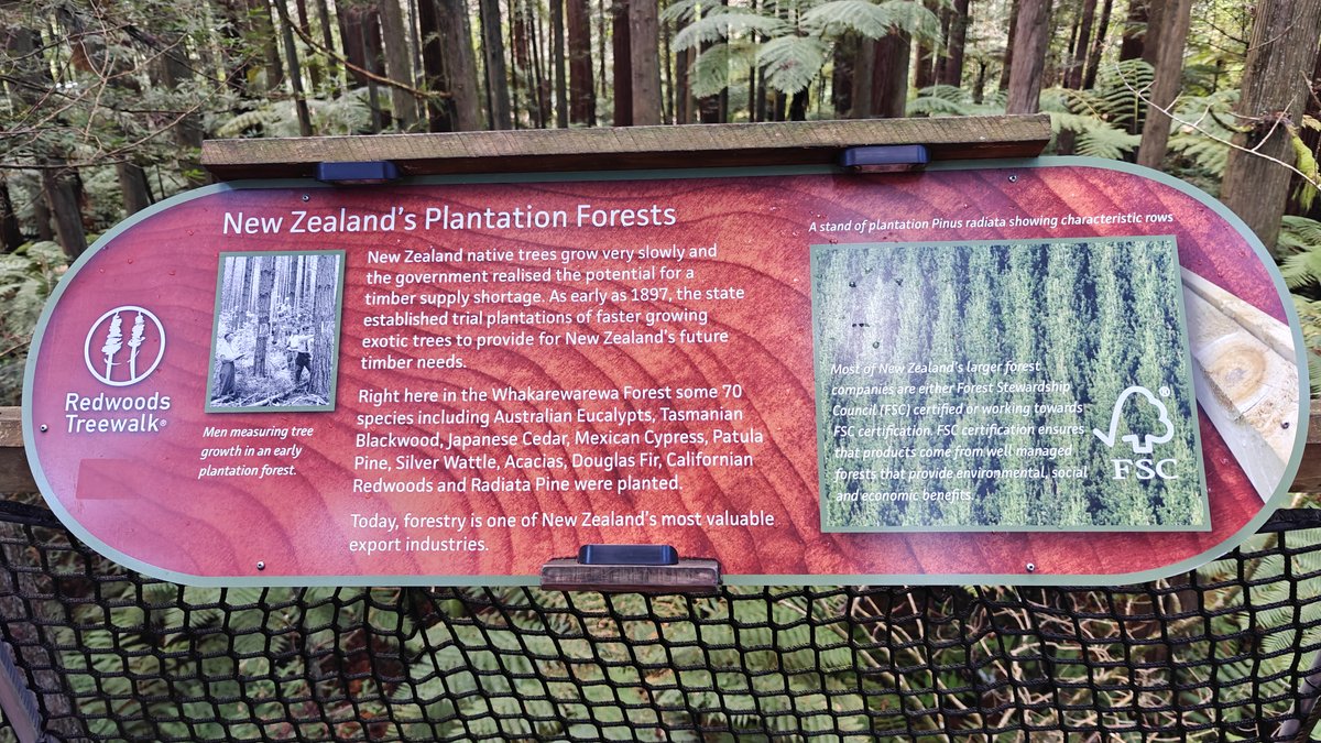 A panel headed New Zealand's Plantation Forests with