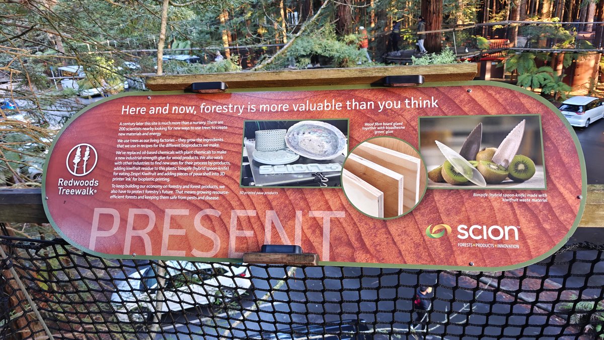 A panel headed PRESENT, here and now forestry