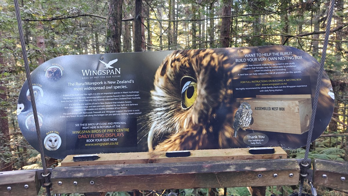 A panel with a morepork photograph explaining the
