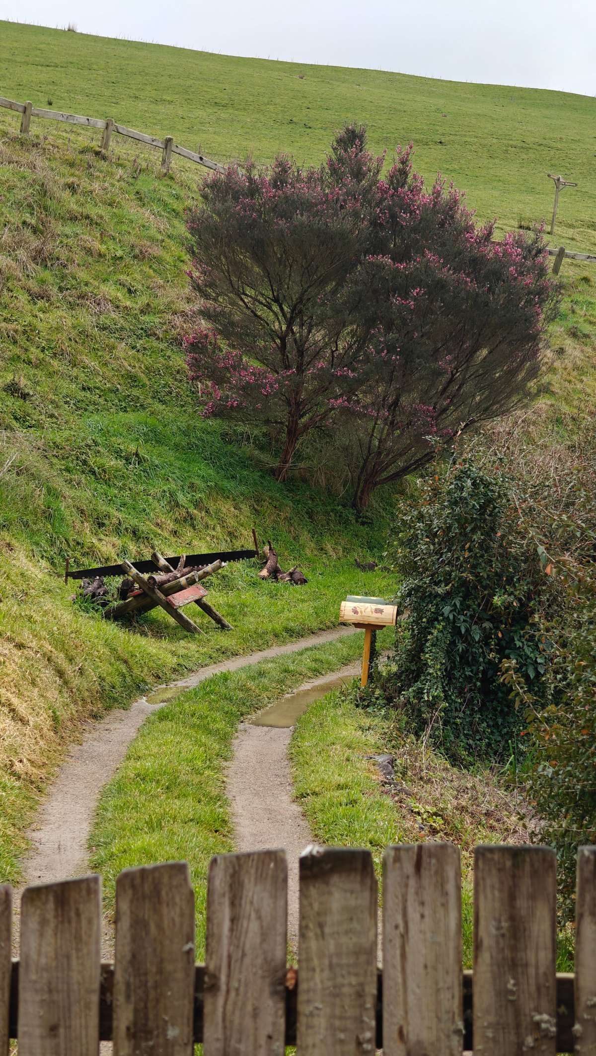 A path running between a timber fence and