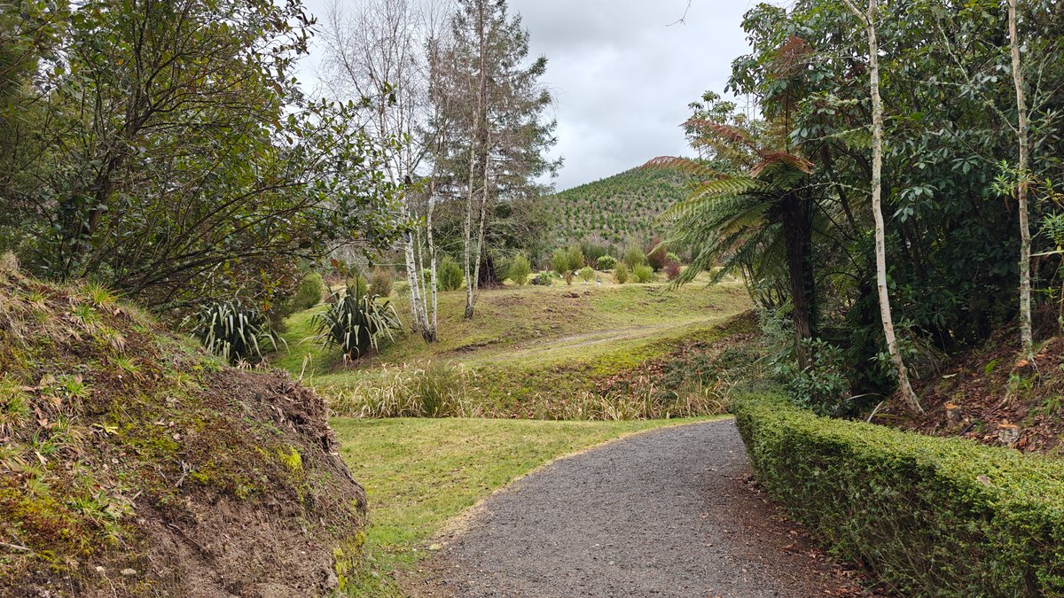 A path running through the village grounds between