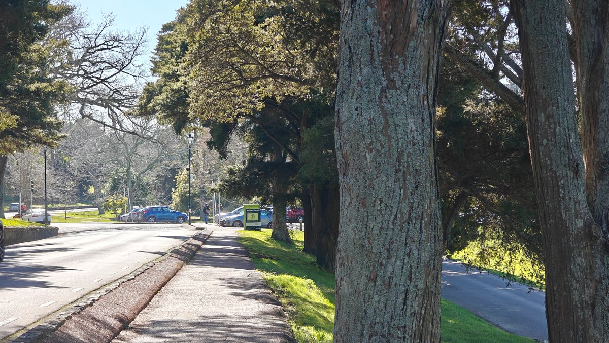 A path through the Domain past a heavy