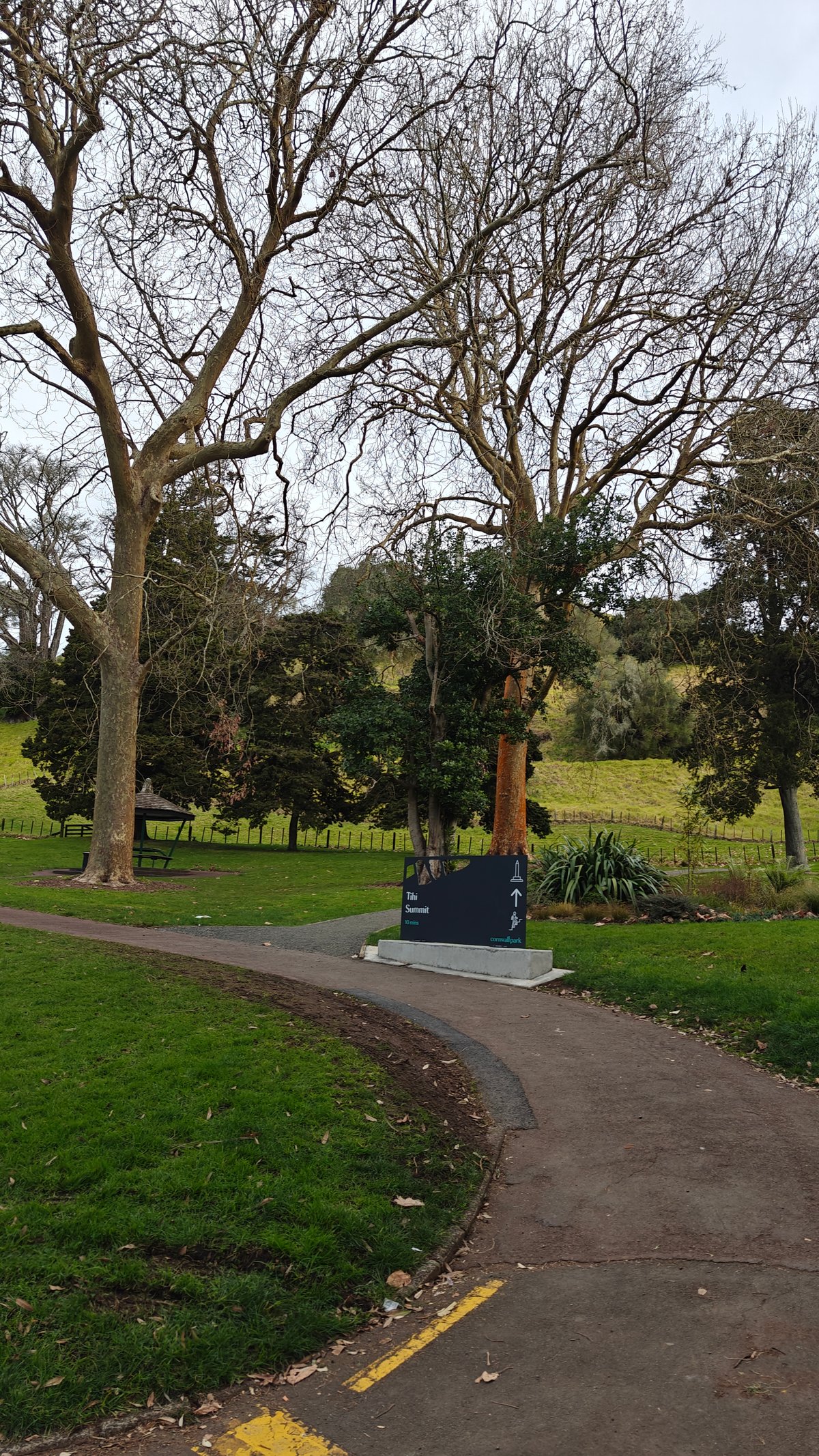 A path with a bench set beneath the