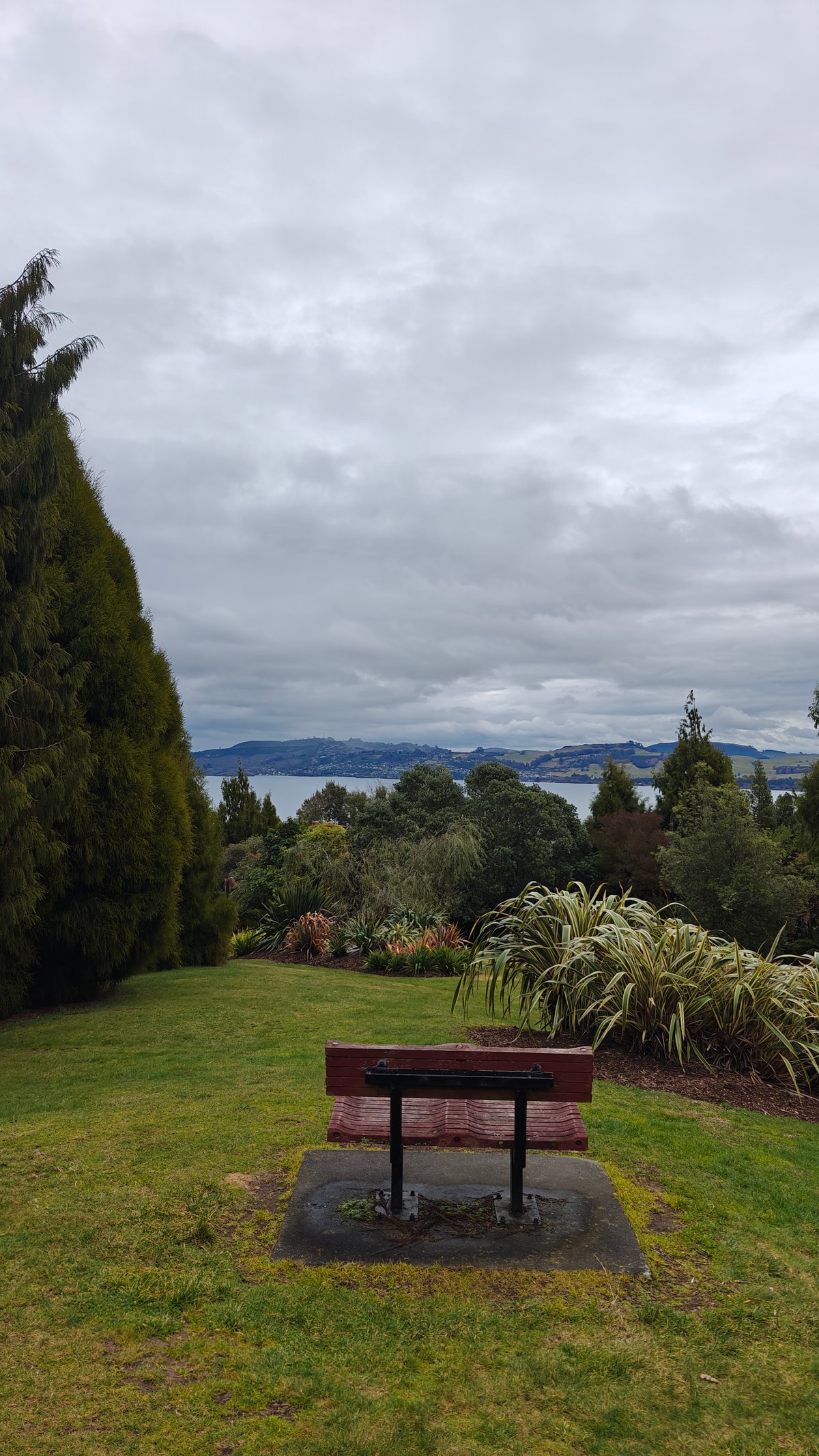 A picnic table on the mown lawn with