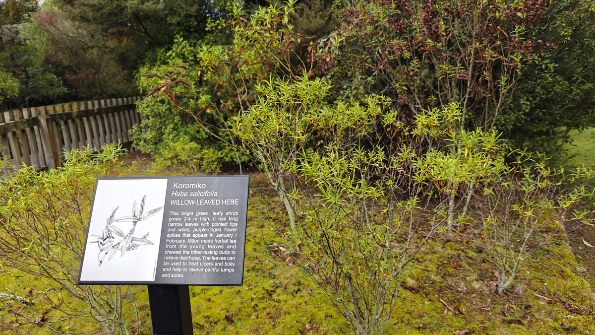 A plant label on its post among the
