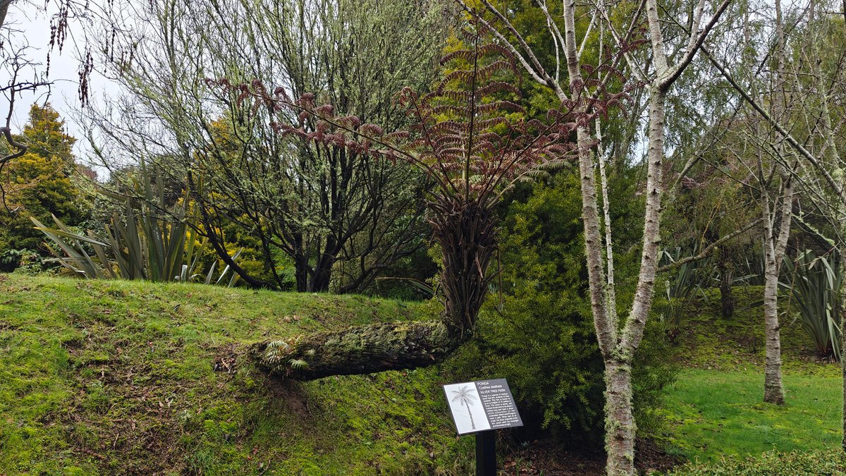 A planted bed with a label post among