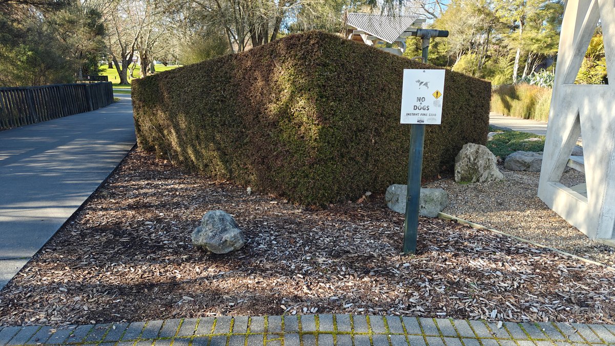 A planted mound beside the path with a