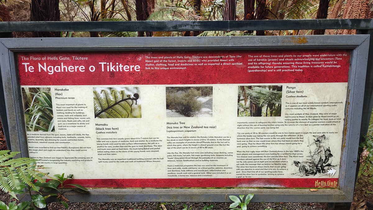 A red-framed interpretive board headed Te Ngahere o