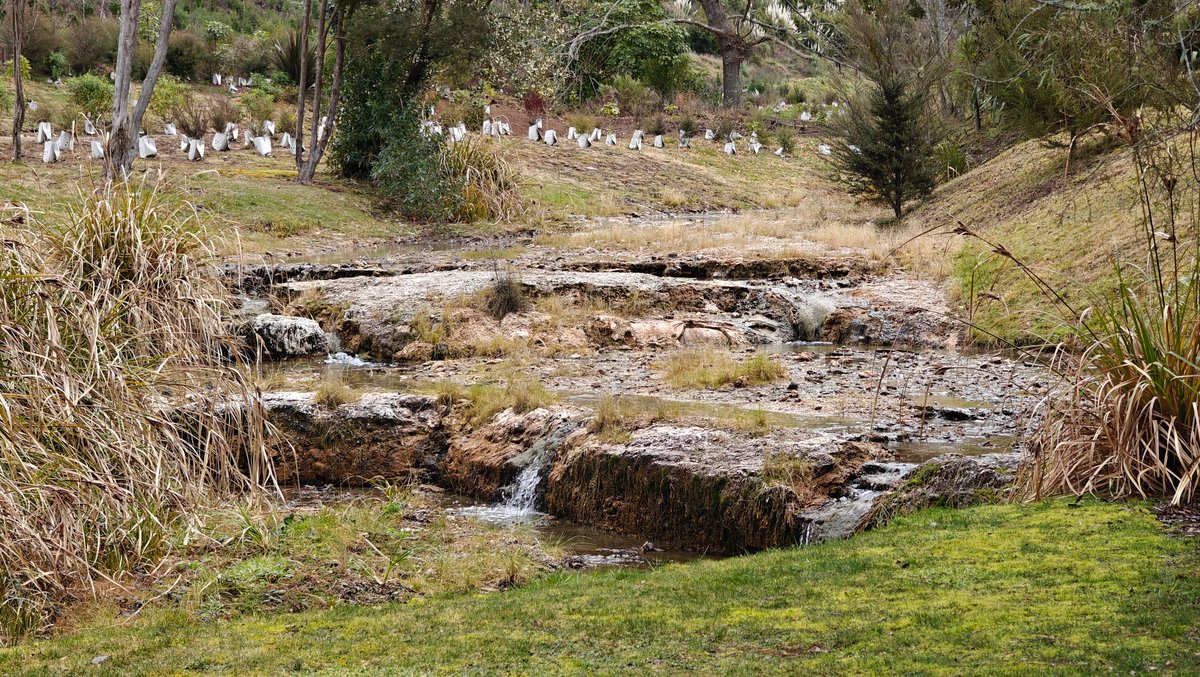 A stream running past with the palisade fence