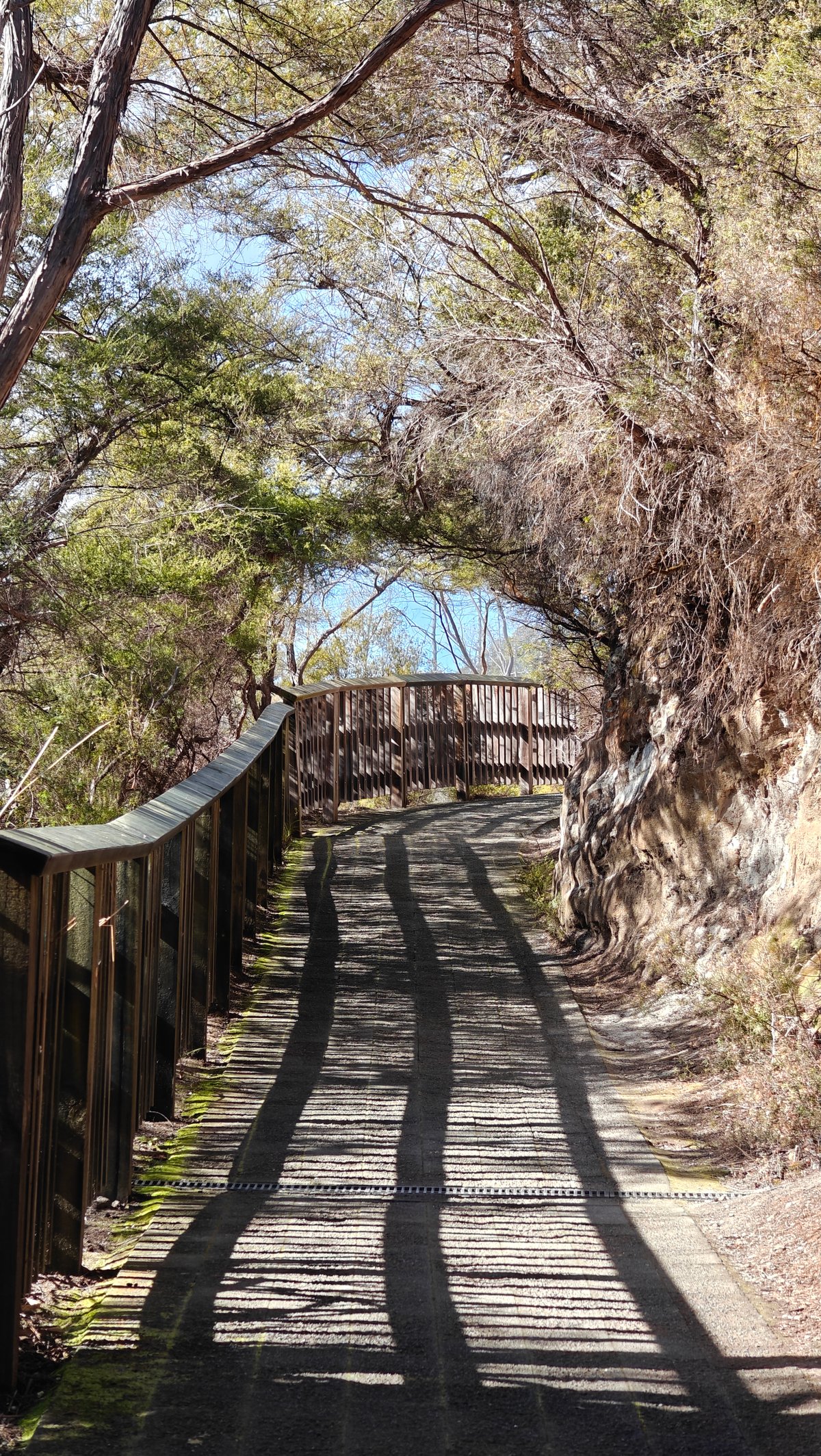 A timber boardwalk running down through the scrub.