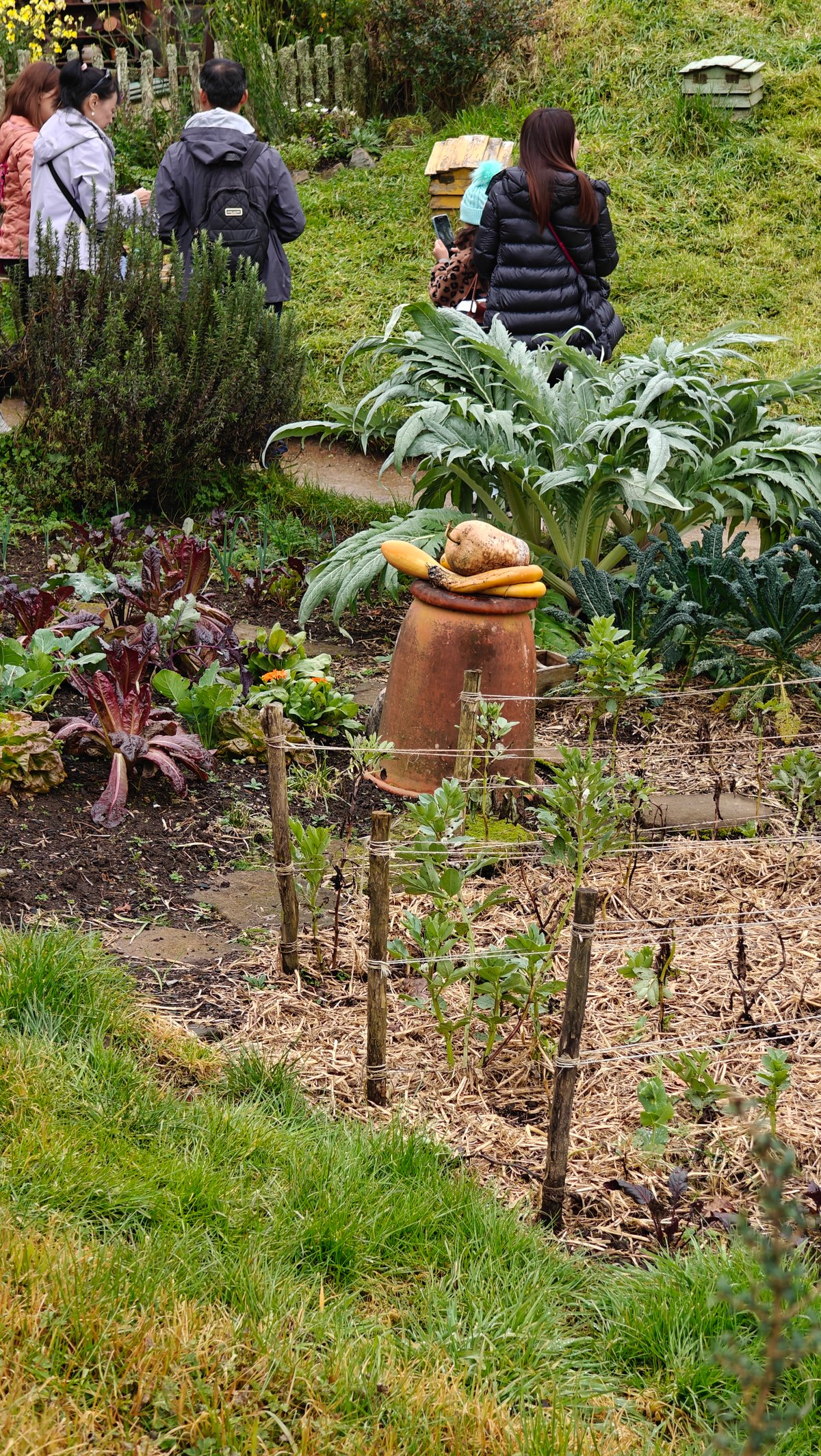 A vegetable garden with visitors passing along the