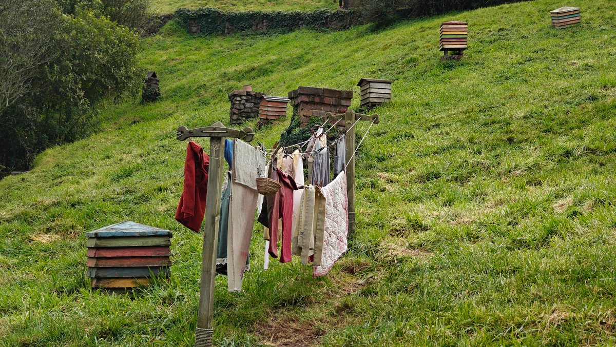 A washing line hung with laundry and a