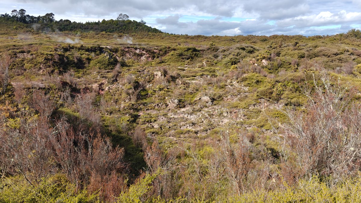 A wide crater basin filled with scrub.