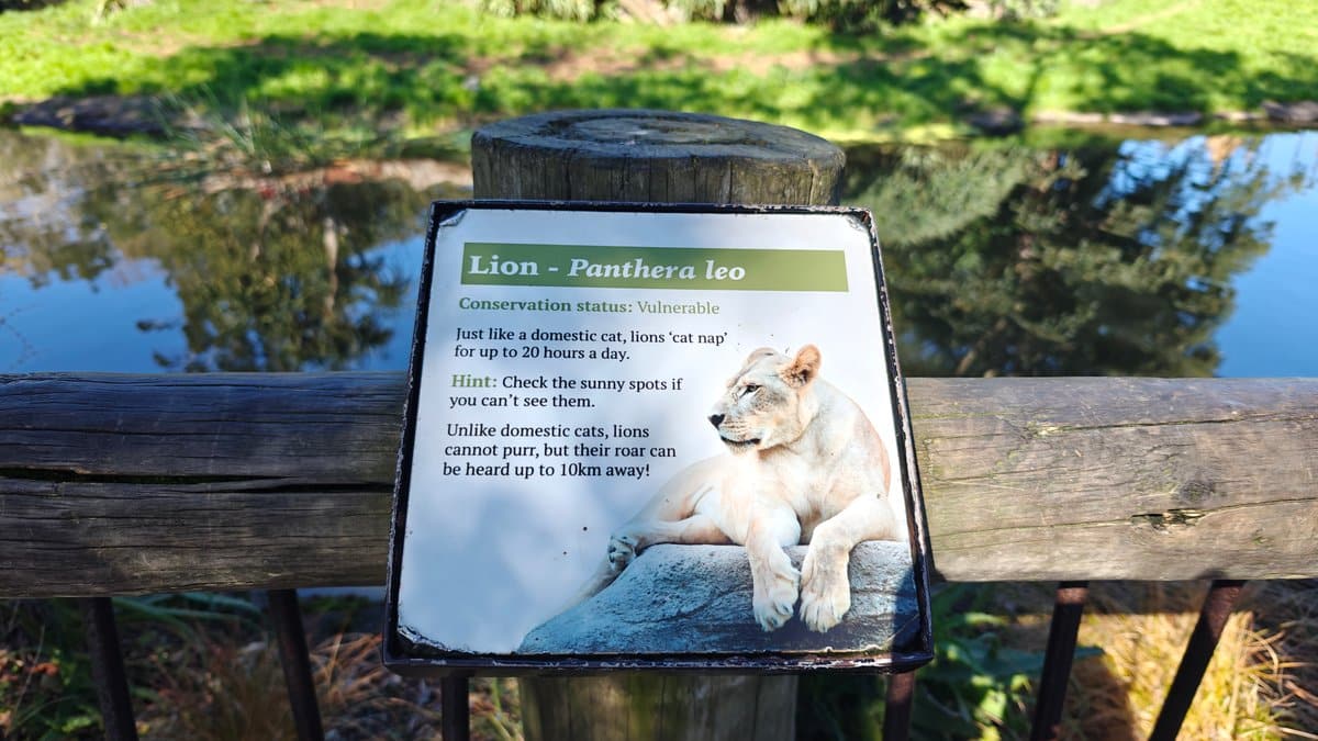 An interpretive panel for the lion, Panthera leo,