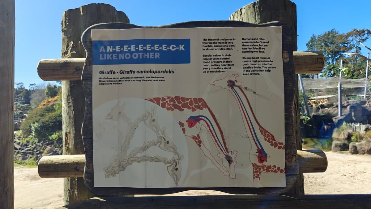 An interpretive panel headed A N-E-E-E-E-E-C-K LIKE NO