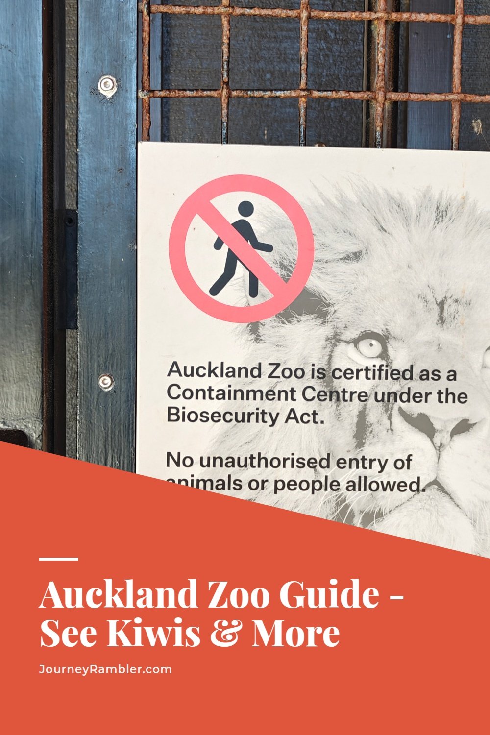 I Went to Auckland Zoo to See a Kiwi and Found a Lot More