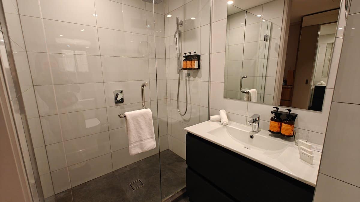 Bathroom shower vanity and mirror