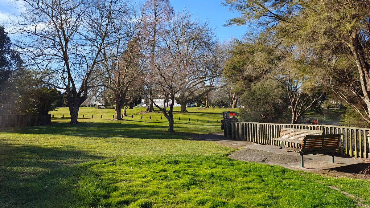 Bench in open winter parkland
