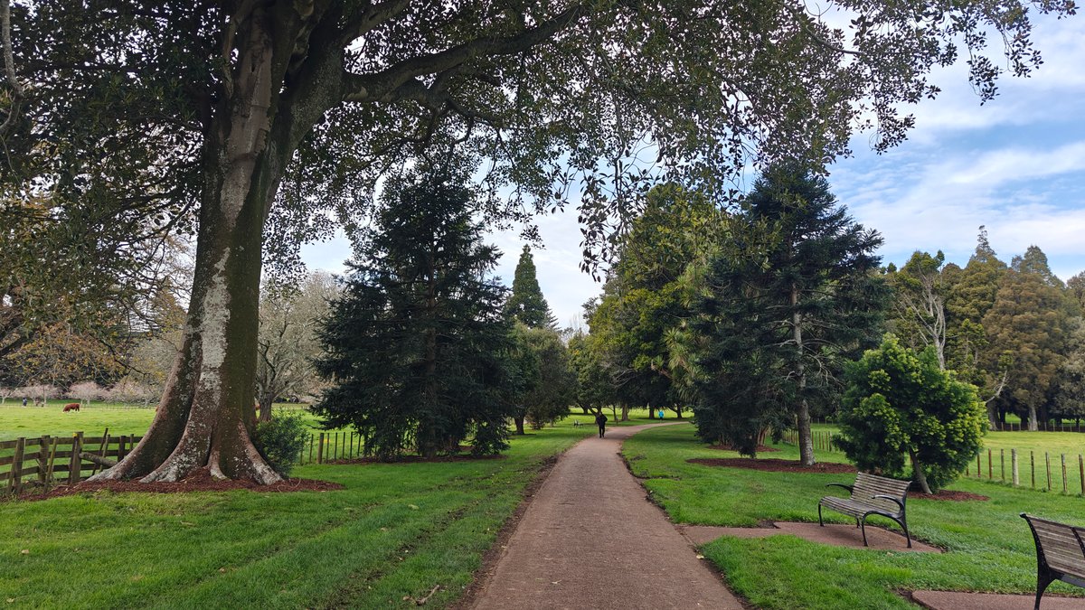 Bench set beneath the trees